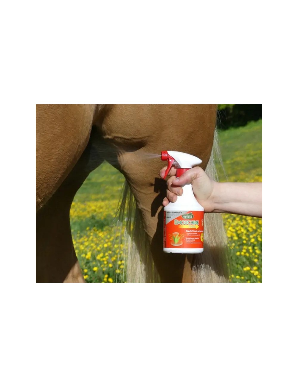 Emouchine Total 500 ml Ravene – Répulsif anti-insectes cheval