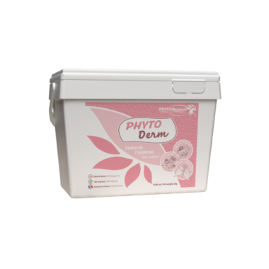 PHYTO DERM