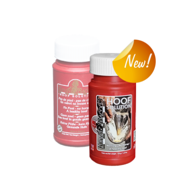 KEVIN BACON HOOF SOLUTION