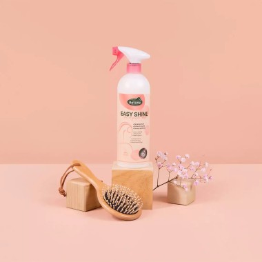 EASY SHINE 750 ML
