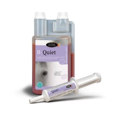 B QUIET 1L