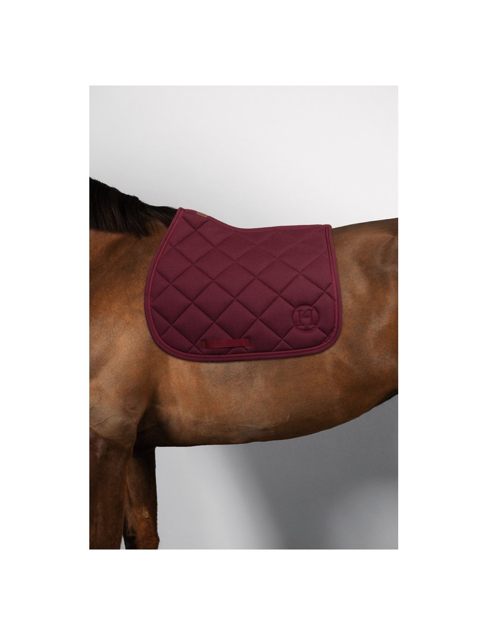 TAPIS HARCOUR CHARMA