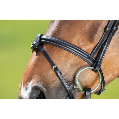Bridon Anatomique pour chevaux