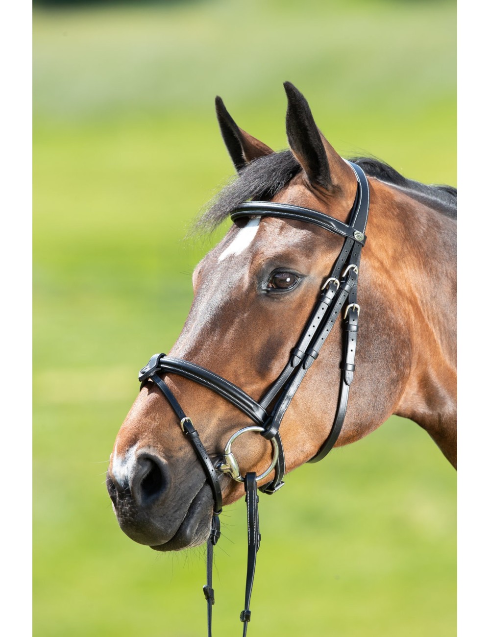 Bridon Anatomique pour chevaux
