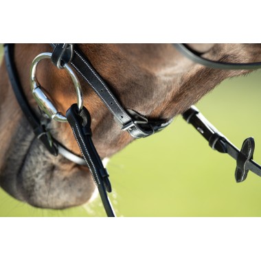 Bridon Anatomique pour chevaux