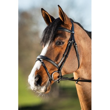 BRIDON HFI ELEGANT