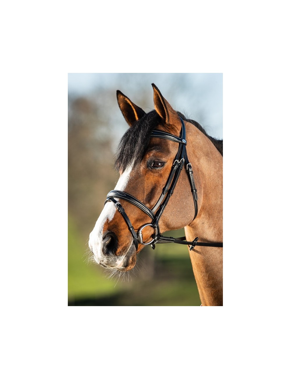 BRIDON HFI ELEGANT