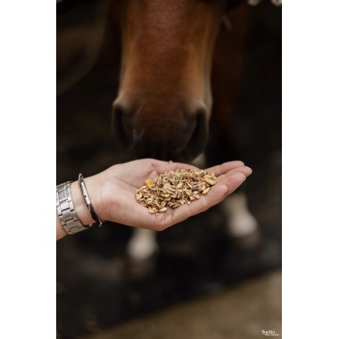 Phytomash ESC 1,5 kg – Mash aux plantes pour chevaux
