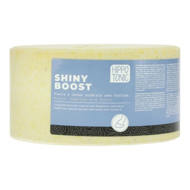 PIERRE A SEL SHINY BOOST 3 KG