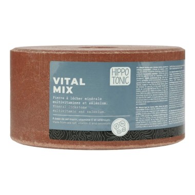 PIERRE A SEL VITALMIX 3 KG