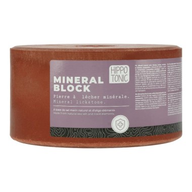 PIERRE A SEL MINERAL BLOCK 3KG