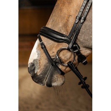 Bridon anatomique Pull-Back – Cuir souple, muserolle anatomique et rênes Hunter