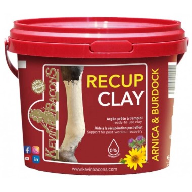 ARGILE KEVIN BACON'S RECUP CLAY 3 KG