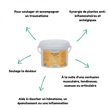 PATE ARGILE SOULAGE DOULEUR