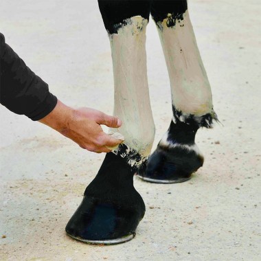 PATE ARGILE SOULAGE DOULEUR