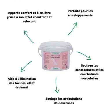 PATE D'ARGILE DETOX 2.5 KG