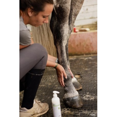 ICE RELAX Arnica + Menthe Gel ESC 300 g – Gel rafraîchissant pour chevaux