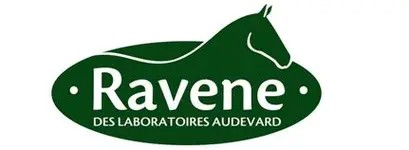 Ravene