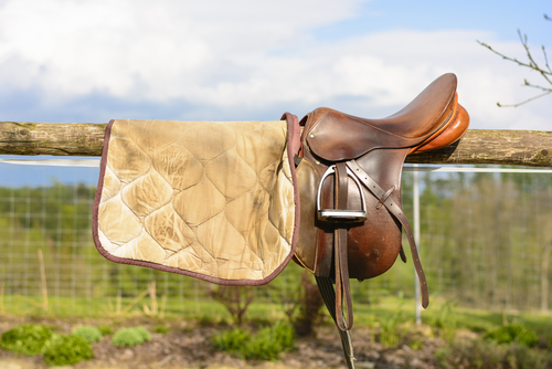 Comment bien choisir son équipement d’équitation quand on débute ?